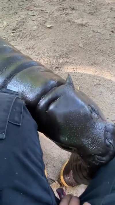 The cutest battery POV 💢