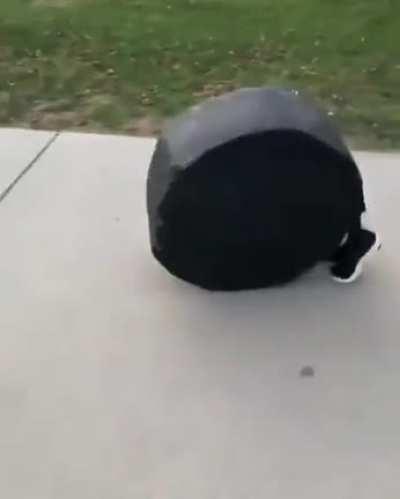 Black Hole the Wheel Roller