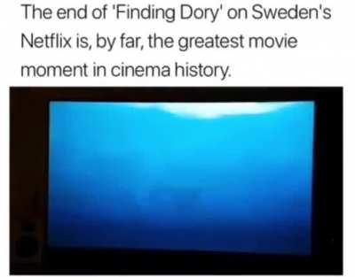 Finding Dory... For what tho?