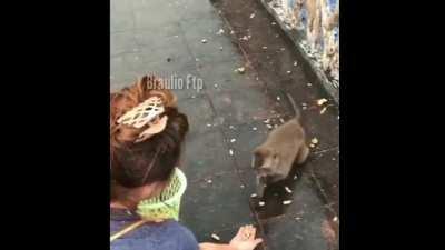 orslokx - Video #5995