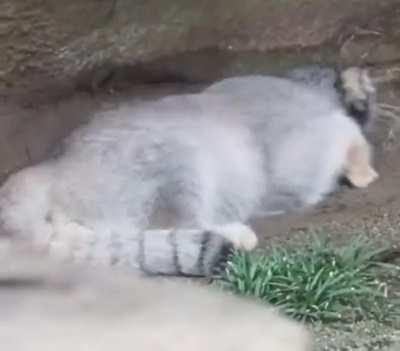 i saw this on pinterest and HAD to share