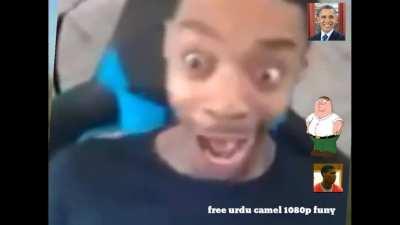 bruh nigga urdu duck download 1080p hd very cool funy camel moments