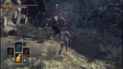 I was planning on parrying him lol