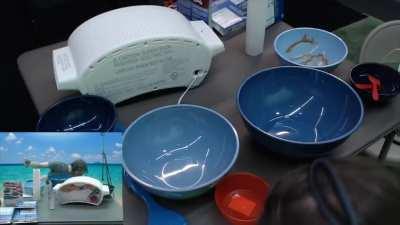 ya nevah gonna' get a pan fully clean like this