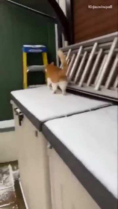 rindo mas com respeito