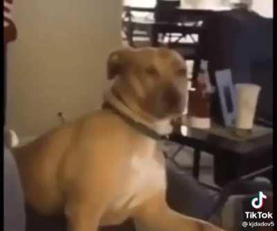 Hey buddy, what did the five fingers say to the face?