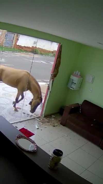 Total MC vibes from this clown...