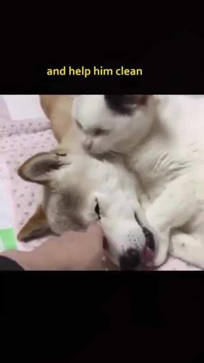 Look man… if I’m gonna cry- everybody gonna cry.