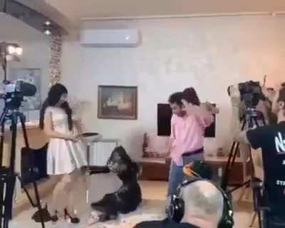 They will remember this wedding forever