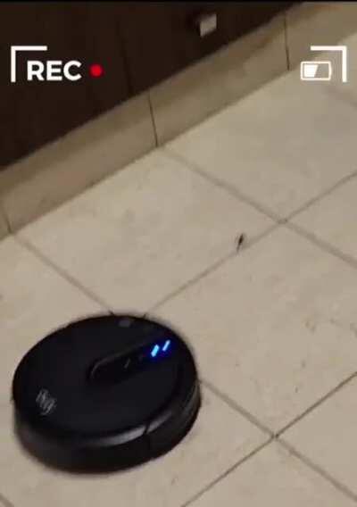 To Escape The Roomba