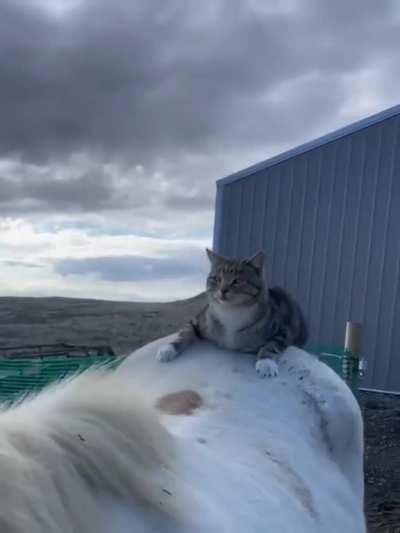 How can a lazy Function run faster?