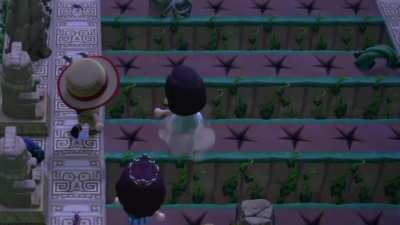 Temple Run: Pitfall Race to the Golden Turtle!🥇🐢🥇