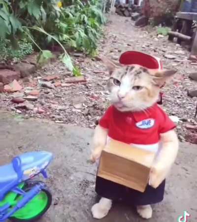 Best courier in all of indomie land 🗣️🗣️