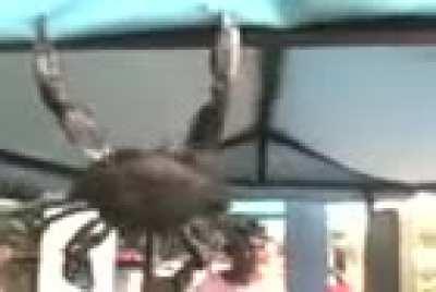 UM SIRIFO ASENDO FA 👿😍👿😍👿😍