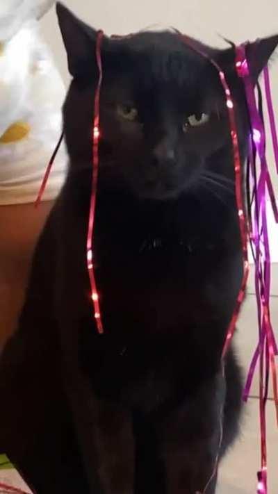 Do you or do you not feel bonita?