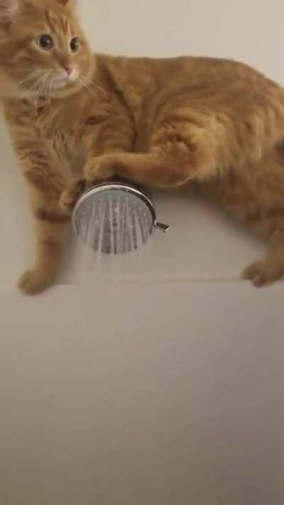 Checking the water temp