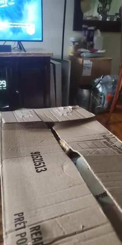 Not the sharpest crayon in the box...