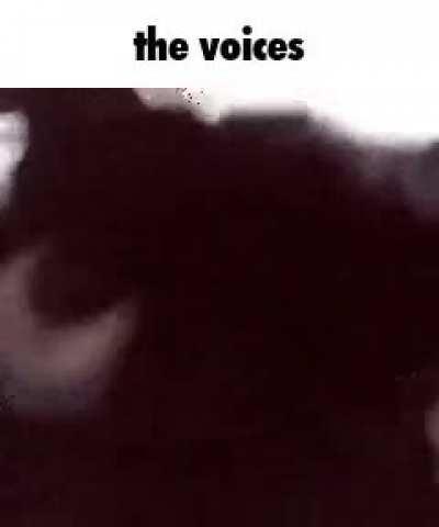 The voices… they speak to me…