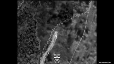 Ukraine's 10th Mtn. Assault Brigade 