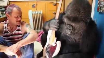 Flea has always been cool!