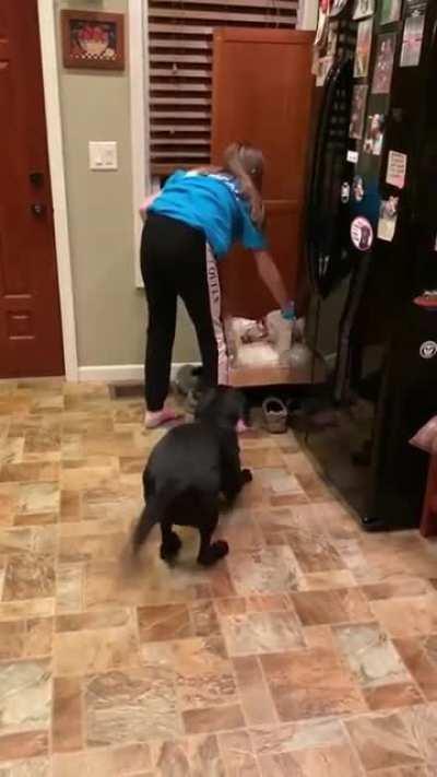 The word excited it's just isn't enough