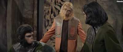 Ve tanrı maymunu kendi siluetinde yarattı...