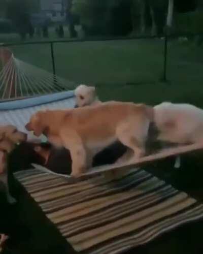 I thought this was gonna end poorly ngl