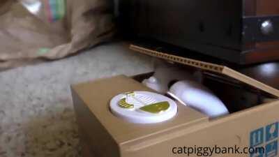 Cat dies as it sees a coin stealing cat toy.