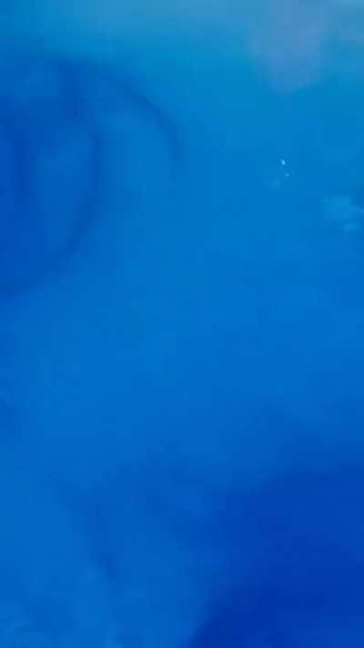 🔥Perito Moreno Glacier in Argentina