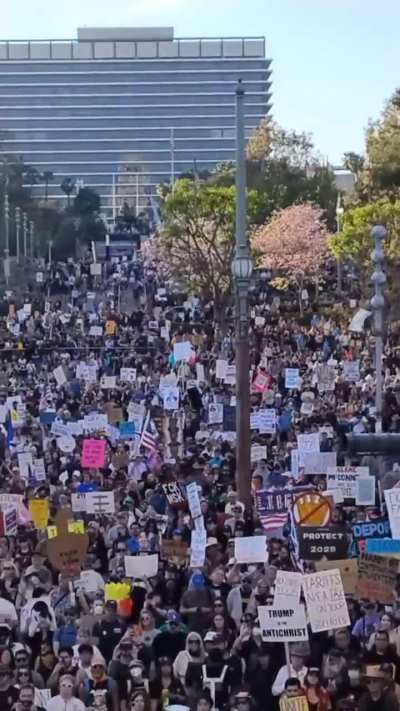 The view from LA City Hall today