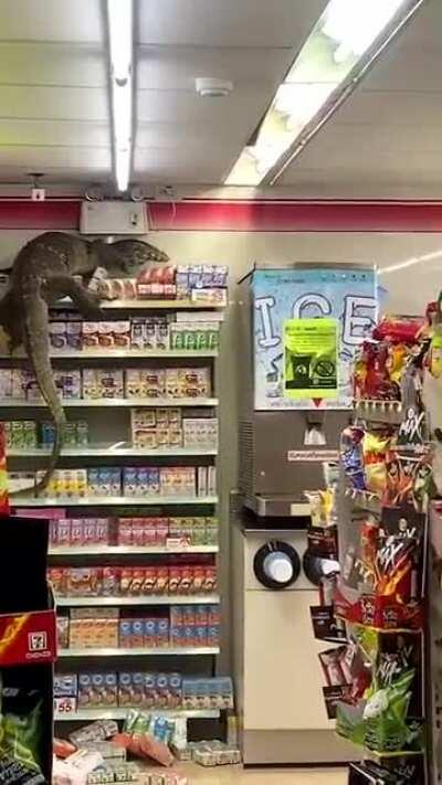 When the Dragonborn goes shopping for groceries