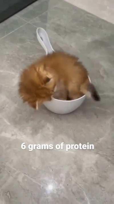 She will be added to dough mix