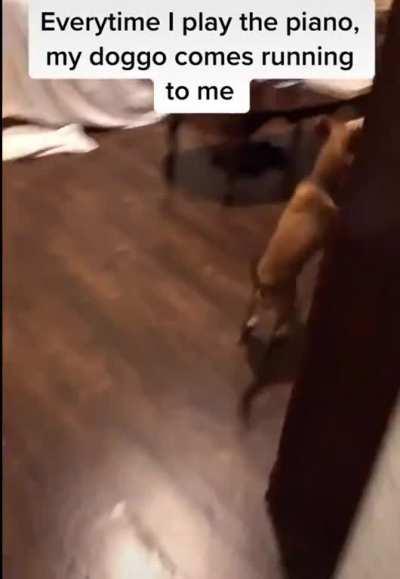 “No other place i’d rather be”