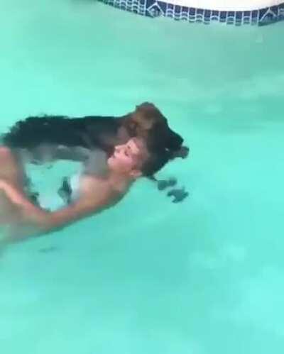 HMC while a German Shepherd saves me