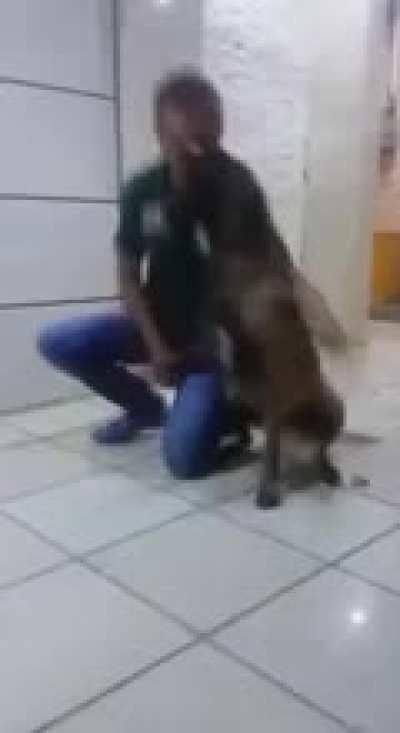 To kiss a dog