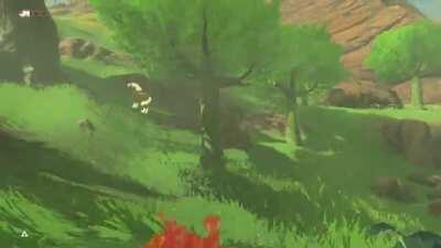 I found this gem when cleaning out my screenshots, no wonder I’ve always hated the ostriches