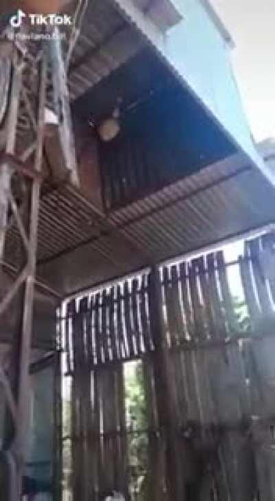 Disturbing a wasps nest is a good way to get hurt a lot. (I know from experience)