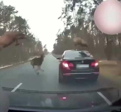 Hopefully insurance covers