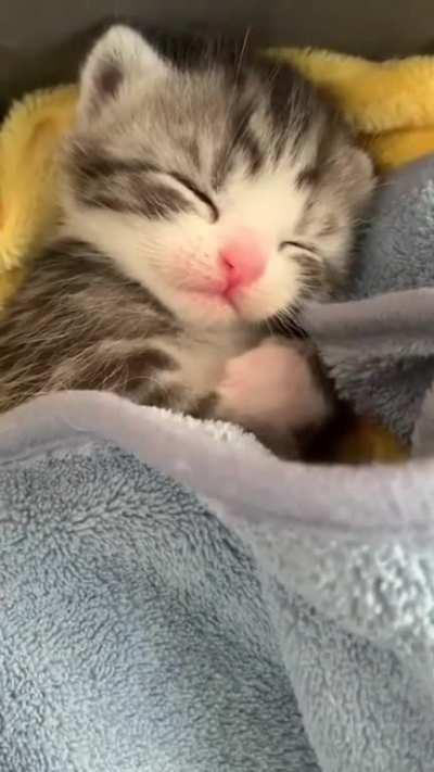 I can die for this criminal!