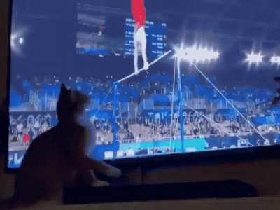 Olympics gymnast getting a little help