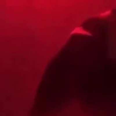 Me in the first month of WLR