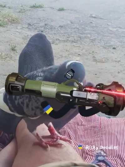 Reinforcements have arrived