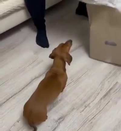 This is too cute, watching until the end.