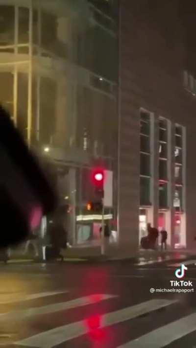 San Francisco Louis V looted