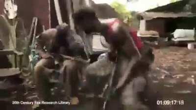 peruano mo diablo onn