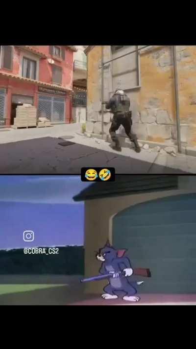 CS2xTom&Jerry