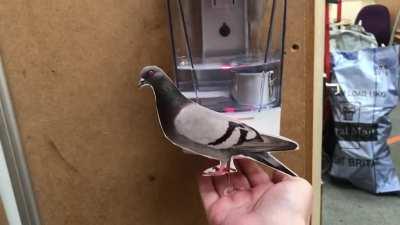 Our hand gel dispenser at work 😂