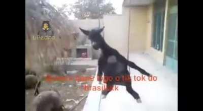 Não aguento mais 😔✊