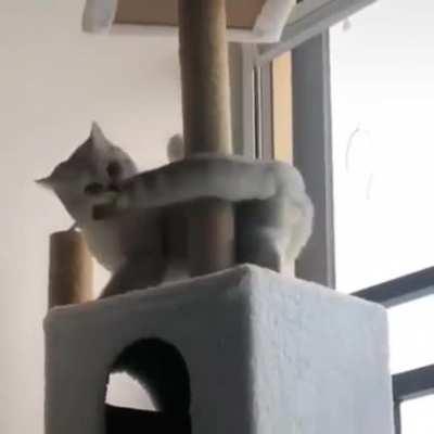 duE tO ExtREmE pOveRTY aNd hUngeR hE sTArteD TO SElf cAnNIbAlIze!