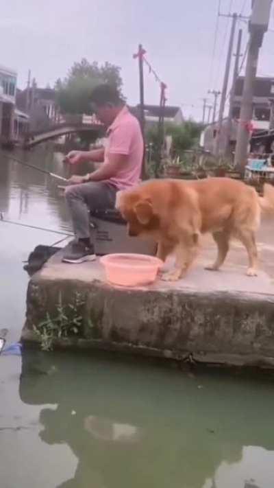 “BuT AnIMalS KiLl da CirCLe Of LiFe”